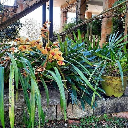 Pousada Canto Das Corujas São Roque Eksteriør bilde