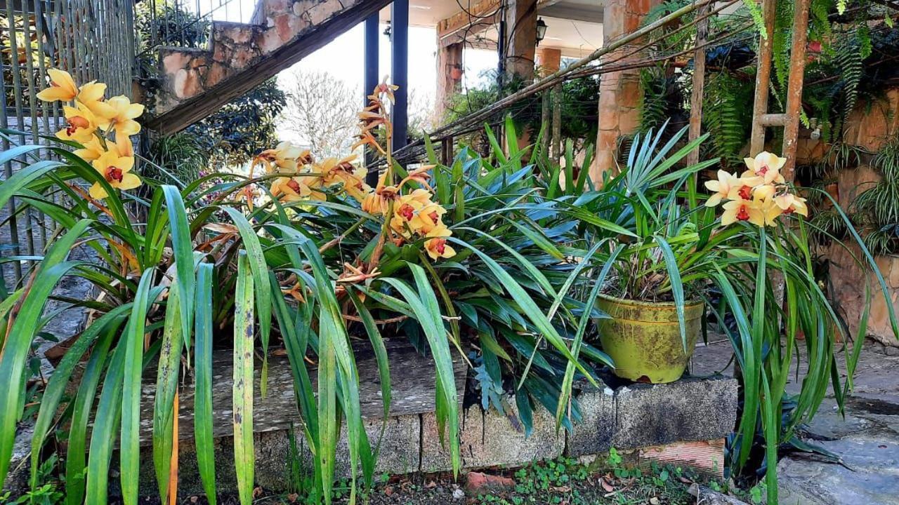 Pousada Canto Das Corujas São Roque Eksteriør bilde